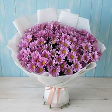 Букет цветов из:  Хризантемы в Серафимовиче