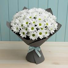 Букет цветов из:  Хризантемы #REPLACE_PRED# Серафимовиче