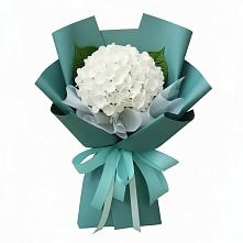 Букет цветов из:  Гортензия в Серафимовиче